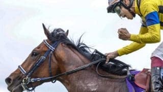 【セントライト記念想定】ソールオリエンス、ドゥラエレーデなど15頭