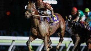 【大井・東京記念結果】セイカメテオポリスが3連勝で重賞4勝目を挙げる