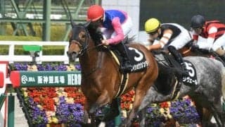 【京成杯AH予想】AIも穴狙いを推奨!? 絶好の狙い目とみた一頭とは