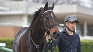 【京成杯AH展望】野芝のみを使用した馬場の開幕週で高速決着になりがち