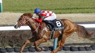 重賞3勝のジャスティンが転入初戦 実績断然で初戦から注目/大井・アフター5スター賞