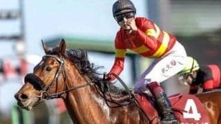 ダービー4着馬が菊花賞含め秋白紙に 上村師「特に故障したとかではない」