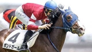 藤田晋社長の2.3億円馬 サウジアラビアRCへ向けて帰厩