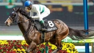 【京成杯AH出走馬・騎手確定】ソウルラッシュ＆松山弘平騎手、インダストリア＆C.ルメール騎手など11頭