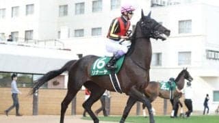 【JRA新馬戦】リナーテの初仔フォルラニーニなどがデビュー