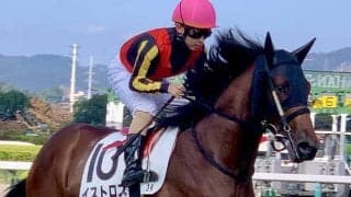 GI7勝ジェンティルドンナの半弟やセレクト1億円馬など ネットオークションに良血馬出品