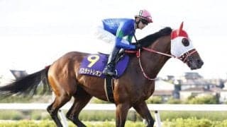 コリアC・コリアスプリントに日本から4頭出走 枠順が決定