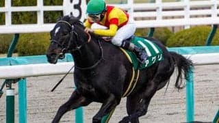 阪神は目下3連勝中 今年の阪急杯覇者がセントウルSで重賞2勝目へ
