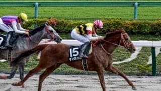 良血3億円ホースはシリウスSへ 砂で初タイトルをつかむか