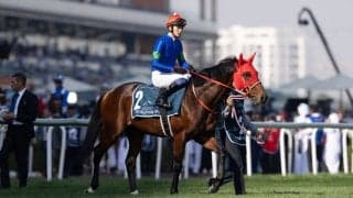 韓国遠征馬がコリアスプリント（G3）・コリアカップ（G3）出走