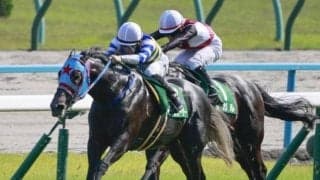 今年のセントウルS参戦3歳馬は“過去最高”布陣 レース史上初のワンツーあるか