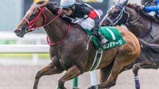 血の勢いを味方に上位進出なるか セントウルSに昨年の北九州記念覇者が参戦