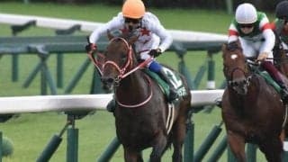 京成杯AHに波乱を呼ぶ 昨年12番人気2着ミッキーブリランテが今年も激走だ