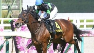 【紫苑S枠順確定】ヒップホップソウルは2枠3番、グランベルナデットは7枠14番