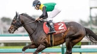 復活期すタイトルホルダー オールカマーに向けてウッドで追い切り