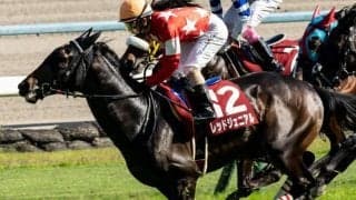 19年京都新聞杯の覇者レッドジェニアルが抹消 今後は乗馬に