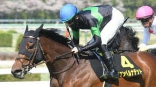 【紫苑S予想】GI好走馬不在で難解な秋華賞前哨戦！ 間隔が空きすぎた馬の取り扱いには要注意