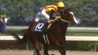 祖母は名スプリンター 良血牝馬が今村聖奈騎手でデビュー