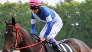 阪神芝2200はキズナ牝駒の“十八番” ムーンライトHCで高配狙える一頭とは