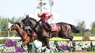 レッドジェニアルが競走馬登録抹消