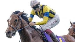 【セントライト記念想定馬・騎手】ソールオリエンス、レーベンスティールなど16頭