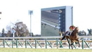 【ローズS想定馬・騎手】ブレイディヴェーグやソーダズリングなど17頭