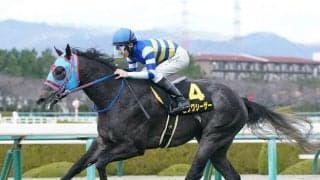 セントウルＳで注目は今年の芝1200ｍで「最高勝率」を誇る産駒と「最多勝」産駒