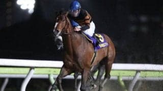 【土曜阪神1R予想】父は南関東で重賞7勝挙げた砂の名馬 ダート替わりで一変あるぞ