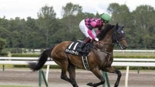 【セントウルS予想】セントウルSの真っ当な攻略法!? 距離短縮でわかる適性の有無