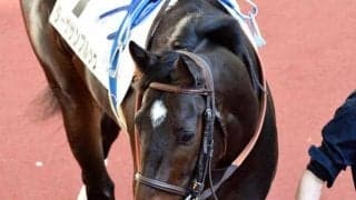 【土曜阪神6R予想】前走11着は参考外 得意舞台で巻き返す