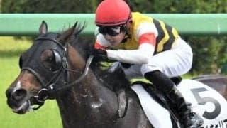 【土曜中山12R予想】中山ダ1200mは2着3回、3着2回と好相性 前走6着から巻き返す