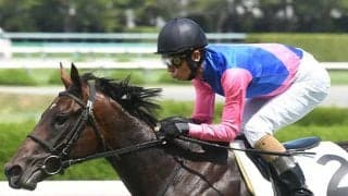 アドミラブル産駒JRA初勝利 メイショウサチダケが逃げ切りV/阪神5R結果