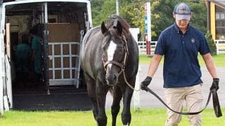 15年の米・最優秀古牡馬オナーコードが優駿SSに到着