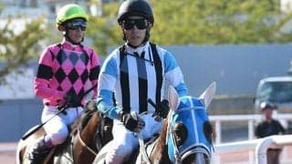 【エニフS結果】ベルダーイメルが直線一気でオープン2勝目！