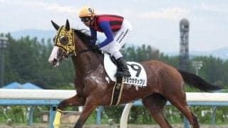 【佐賀競馬】佐賀で開催される珍しい条件の3歳戦 西日本ダービーの注目馬を一挙紹介