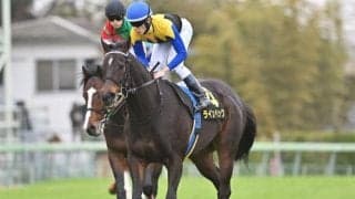 【京成杯AH予想】前走3着以内好走馬が中心 狙いは前走凡走馬の一変！