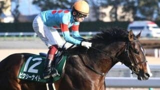 【セントウルS予想】スプリンターズSの行方を左右する重要なステップレース！ GI馬に待ち受ける高く険しい壁