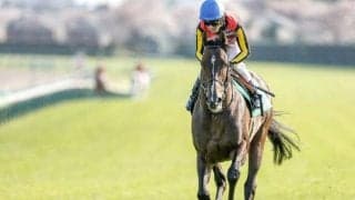 【京成杯AH前日オッズ】インダストリアが3.2倍で1番人気