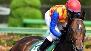 1年8カ月ぶりのスプリント戦 オークランドTRTで久々の勝利を