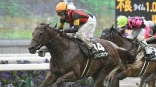 馬場傾向から土曜に狙いたい3頭 阪神芝はディープインパクト系が狙い目！