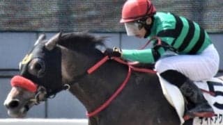 日曜阪神12Rはナイトアクアリウムを狙う 前々走オープン4着の実績信頼