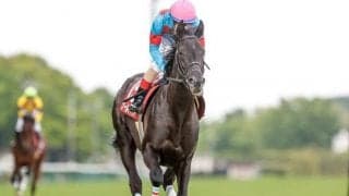 21年フローラSを制したクールキャットが競走馬登録抹消