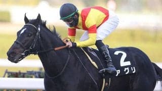 【AI予想・セントウルS】上位人気馬に逆らう余地なし!? 週初から終始一貫の本命は世界の強豪とも遜色ない実力馬