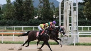 コリアカップ・コリアスプリントを前に知っておきたい「韓国競馬」