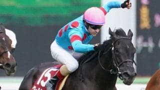 クールキャットが競走馬登録抹消