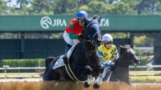 マイネルファンロンが競走中止も馬は異状なし 9日の出来事一覧/中山・阪神