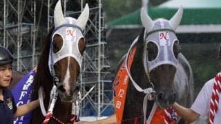 「福山最後の怪物」×「高知復活の象徴」 夢の配合から生まれた一頭が高知競馬でデビュー