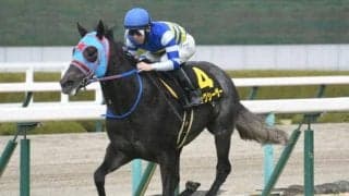 【今日の注目ポイント】スプリンターズS前哨戦のセントウルS、中山では京成杯AH