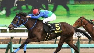 過去に200万馬券も飛び出した京成杯AH　今年のレースで高配当をもたらすのはこの２頭