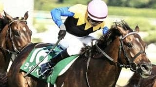 少頭数なら安定感抜群 京成杯AHで悲願の重賞初Vへ